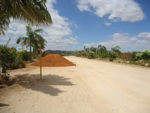 DSC04047